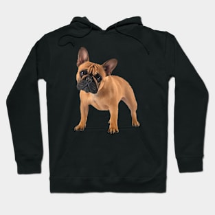 French Bulldog, Frenchie Lover, French Bulldogs Hoodie